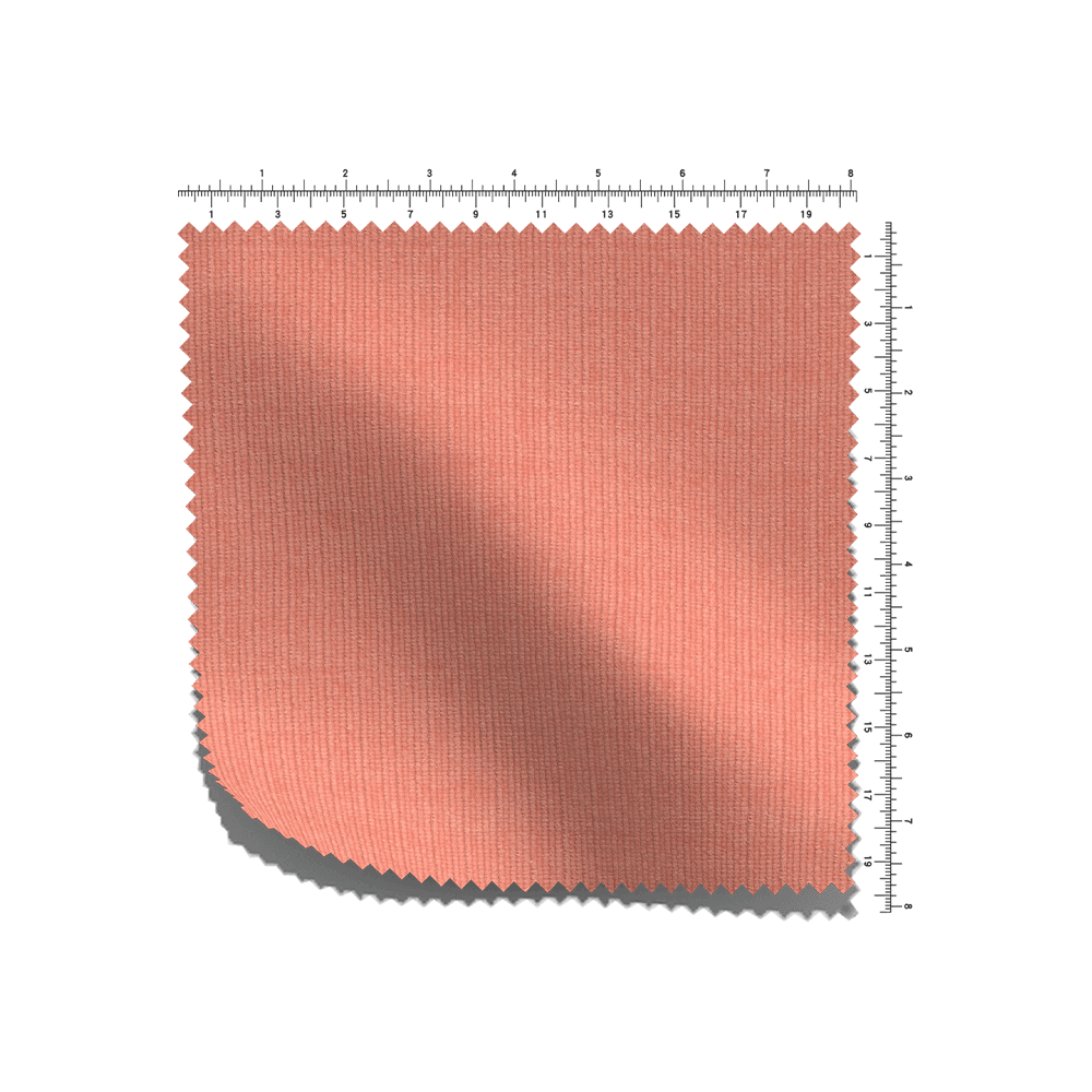 C/T/S francúzske RIB